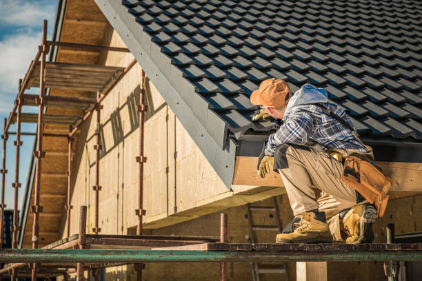 Best Roof Moss and Algae Removal  in Morgantown, KY